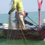 mencapai 25 ribu!  Nelayan dan pembudi daya ikan terdaftar di e-Kusuka di Kukar